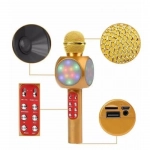 Ασύρματο Bluetooth Μικρόφωνο HI-FI Ηχείο WSTER WS-1816, σε χρυσό χρώμα