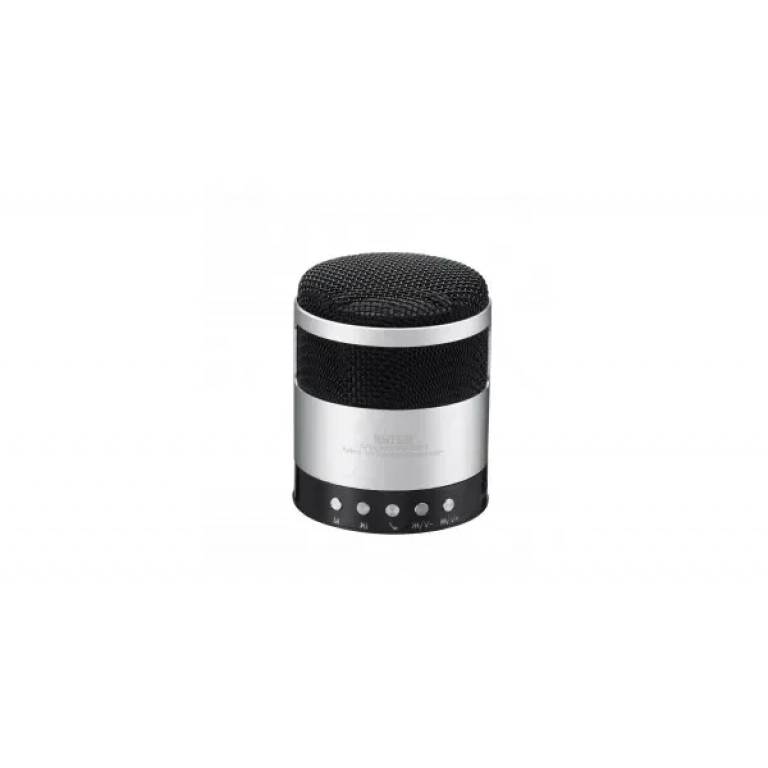 Μini Bluetooth Ηχείο WS-851, σε ασημί χρώμα