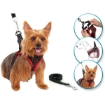 Πρωτότυπο Λουράκι Για Μικρά Σκυλάκια Comfy Control Harness