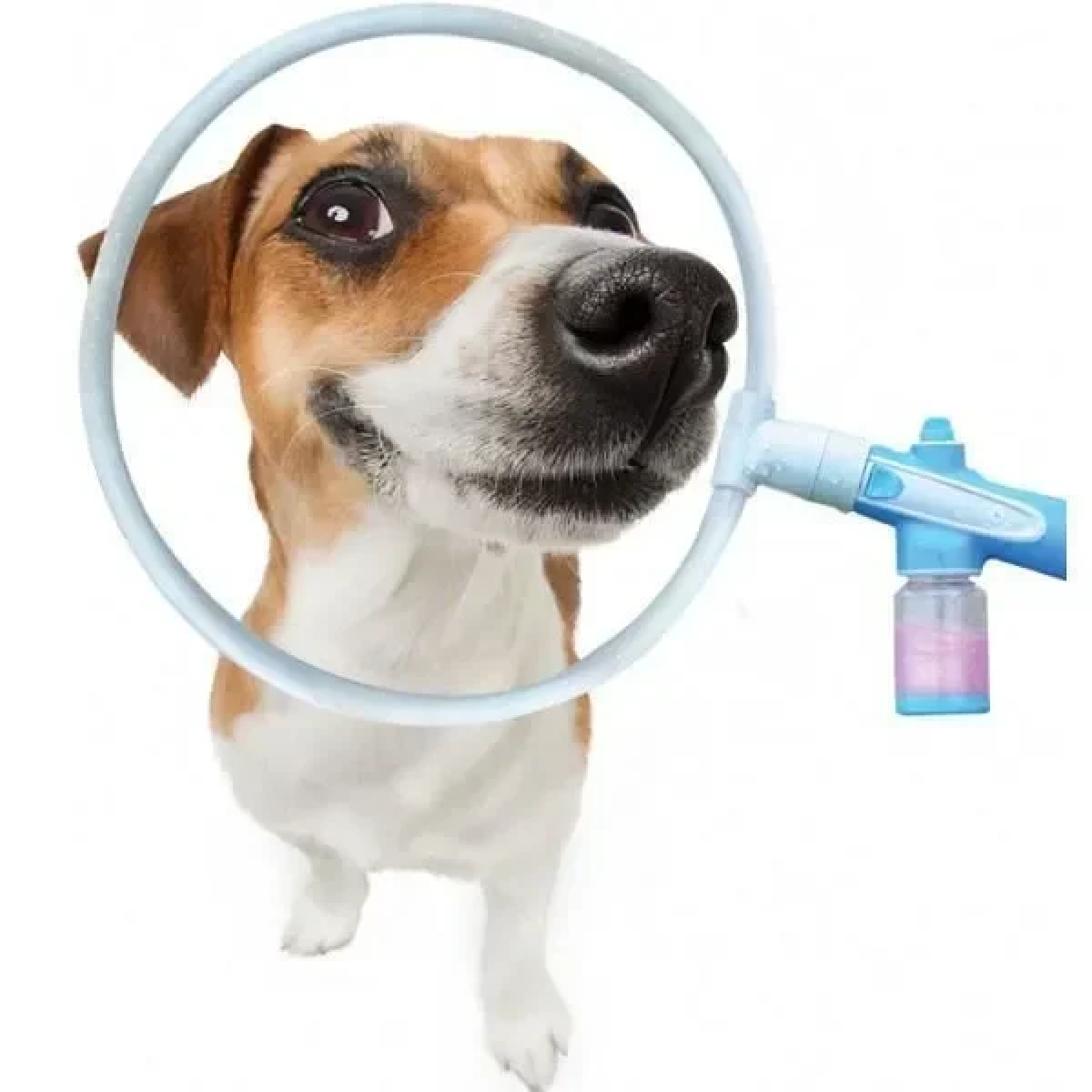 Pet Bath Ring Σύστημα Καθαρισμού Κατοικίδιων