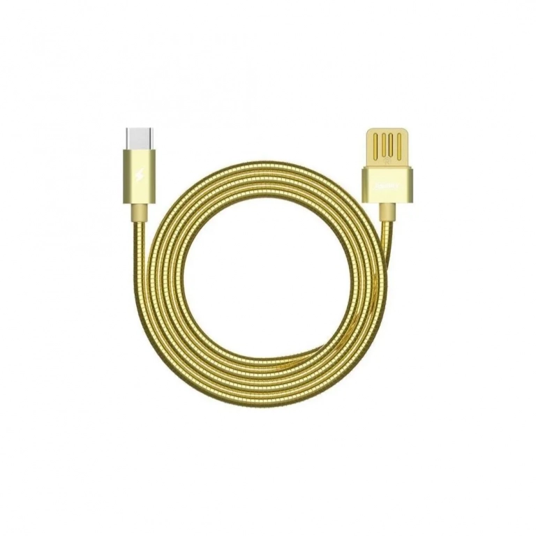 Kαλώδιο Ταχυφόρτισης/Σύνδεσης Remax RC-080a 2.1A USB to Type C (1m), σε χρυσό χρώμα