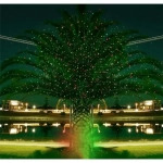 Προβολέας λέιζερ F-719B for Party, Christmas – disco, Outdoor Laser Light Remote Control 720C Waterproof IP65