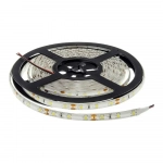 Ταινία LED SMD2835 12V Ψυχρό Λευκό 5m