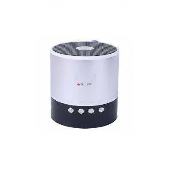 Φορητό ραδιοφωνάκι ψηφιακό Bluetooth Speaker Usb με εσωτερική μπαταρία – OEM Robot-068BT, σε ασημί χρώμα