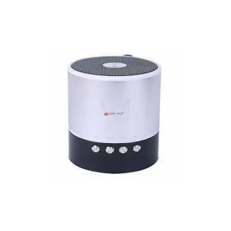 Φορητό ραδιοφωνάκι ψηφιακό Bluetooth Speaker Usb με εσωτερική μπαταρία – OEM Robot-068BT, σε ασημί χρώμα