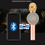 Wster WS-669 Ασύρματο Bluetooth Μικρόφωνο με Ενσωματωμένο Ηχείο & Disco LED – Ρόζ