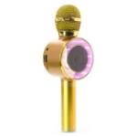 Ασύρματο bluetooth μικρόφωνο με ενσωματωμένο ηχείο, karaoke και disco light led Wster WS-669, σε χρυσό χρώμα