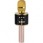 Ασύρματο Bluetooth Μικρόφωνο - Karaoke με Ενσωματωμένο Ηχείο MD-01, σε χρυσό χρώμα