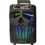 WIRELESS KARAOKE SPEAKER-WITH FREE MIC RX-801E