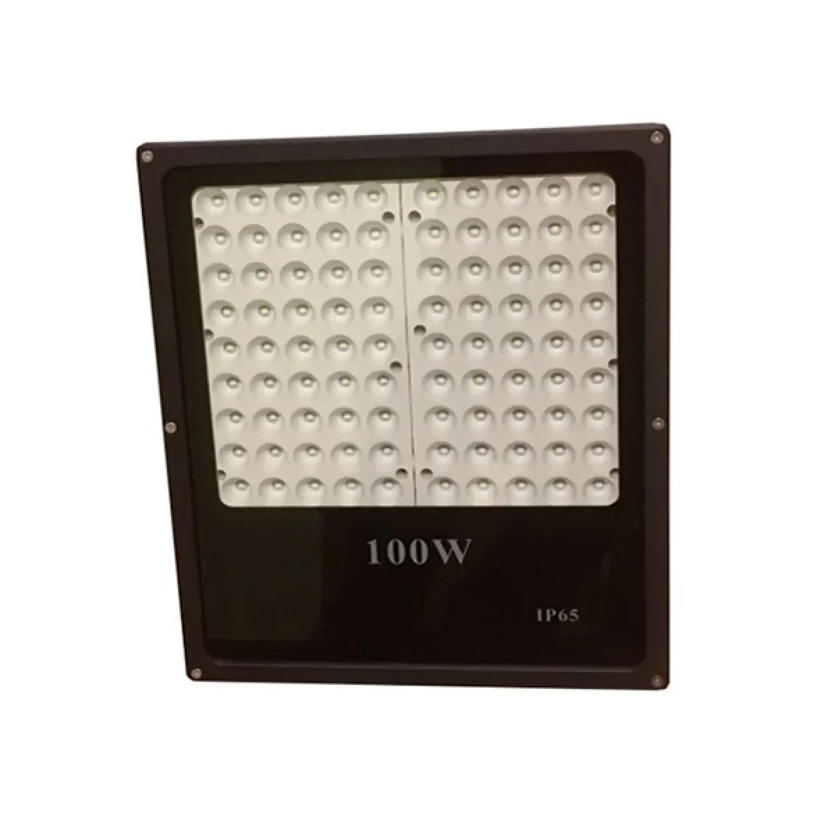 LED Outdoor Light 100w