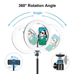 PULUZ PKT3035 10 Inch USB Video Ring Light with 110cm Light Stand Dual Phone Clip for Tik Tok Youtube Live Streaming