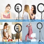 PULUZ PKT3035 10 Inch USB Video Ring Light with 110cm Light Stand Dual Phone Clip for Tik Tok Youtube Live Streaming