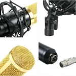 Πυκνωτικό Μικρόφωνο με Βύσμα XLR Andowl MIC7
