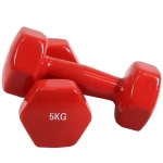Βαράκι Βινυλίου 5kg