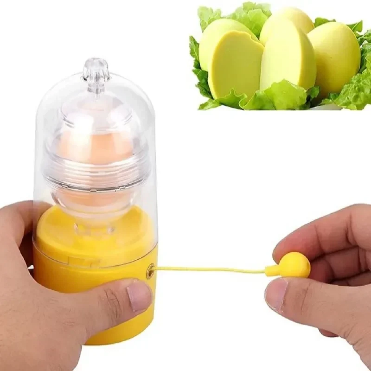 Αναδευτήρας Αυγού (Μίξερ) / Manual Egg Shaker Andowl Q-T191