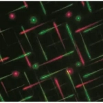 Προβολέας Laser με Κόκκινο & Πράσινο Μοτίβο IP65 27-00904