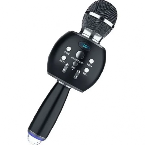 Ασύρματο μικρόφωνο Karaoke με ηχείο – DS888 – 480016
