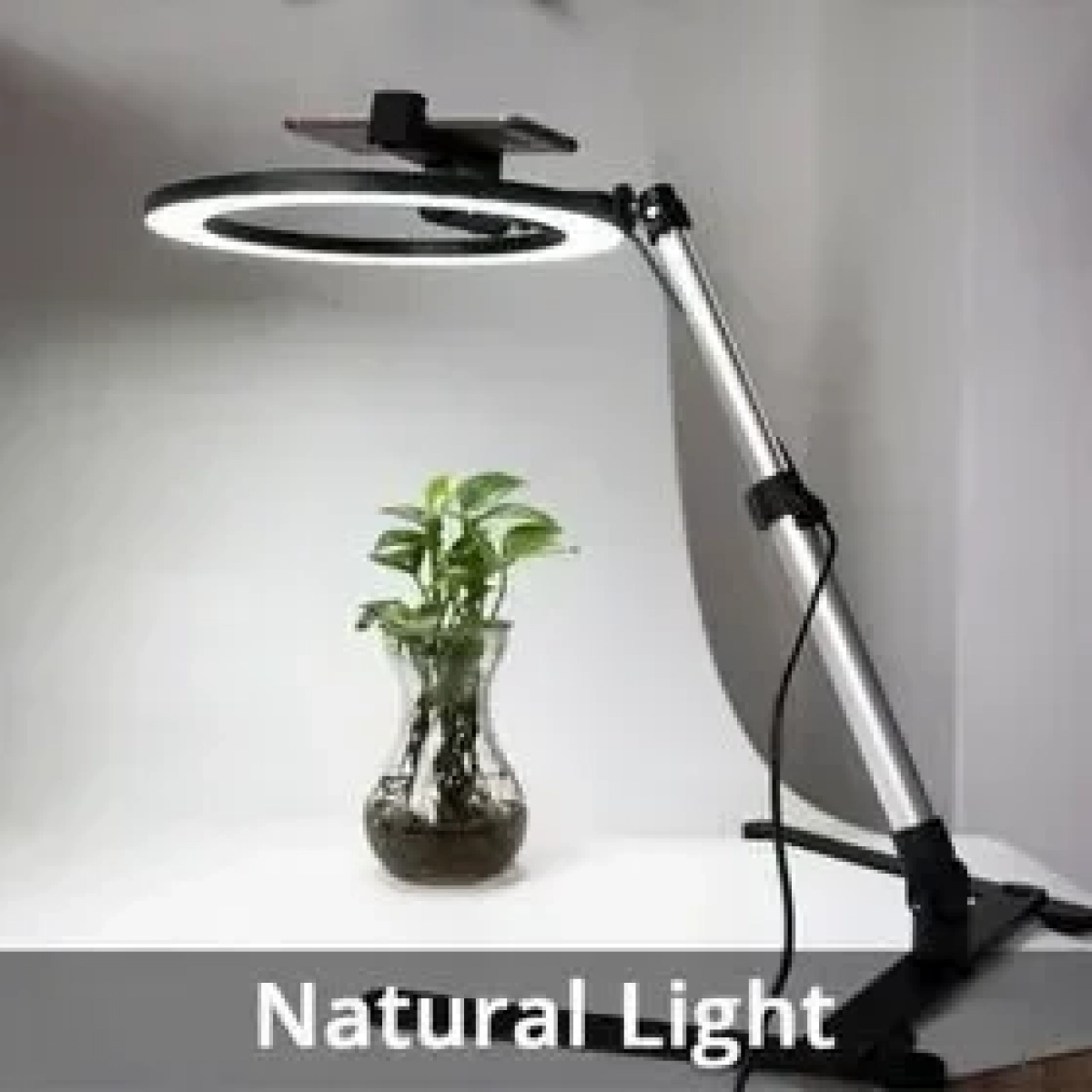 Cell phone stander with LED ring light - QX206B