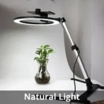 Cell phone stander with LED ring light - QX206B
