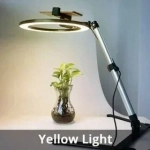 Cell phone stander with LED ring light - QX206B