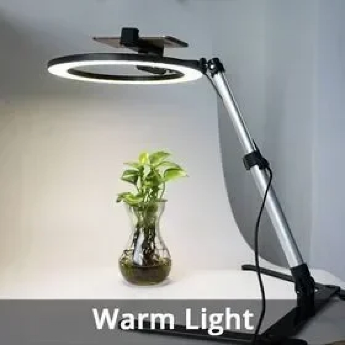 Cell phone stander with LED ring light - QX206B