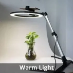Cell phone stander with LED ring light - QX206B