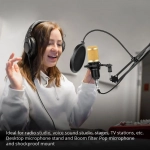 Επαγγελματικό Πυκνωτικό Μικρόφωνο Studio BM-700 με POP Filter και Βάση Βραχίονας