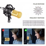 Επαγγελματικό Πυκνωτικό Μικρόφωνο Studio BM-700 με POP Filter και Βάση Βραχίονας