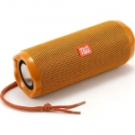 T&G TG-191 Bluetooth Portable Speaker 10W – Orange