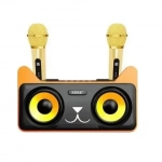 Σύστημα Karaoke με Ασύρματα Μικρόφωνα SDRD 305 σε Μαύρο Χρώμα