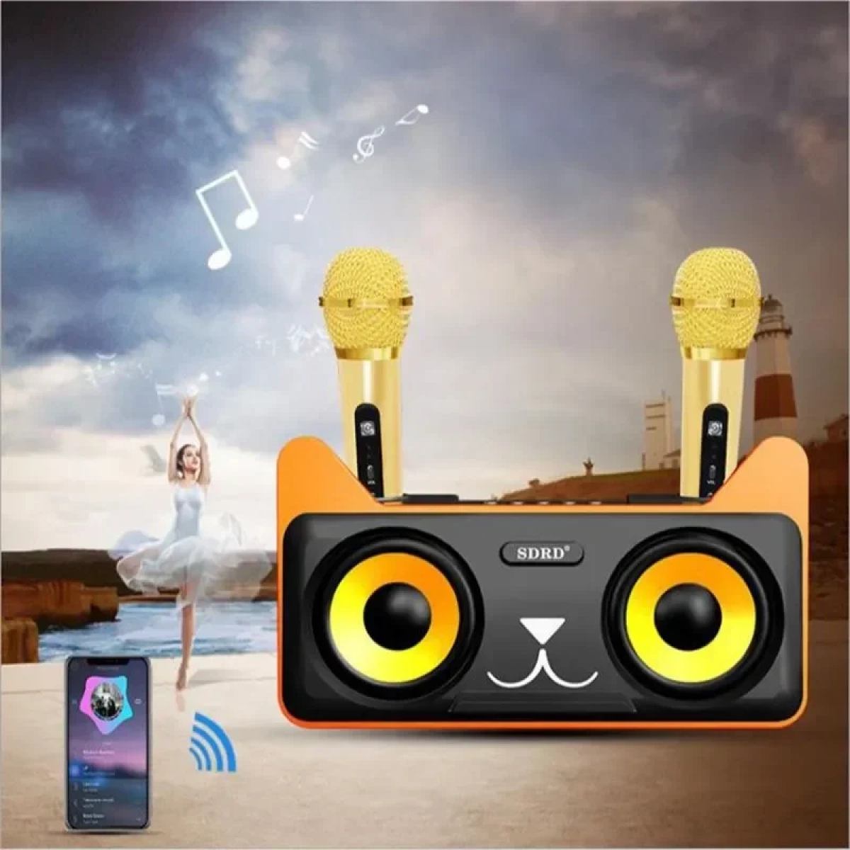 Σύστημα Karaoke με Ασύρματα Μικρόφωνα SDRD 305 σε Μαύρο Χρώμα