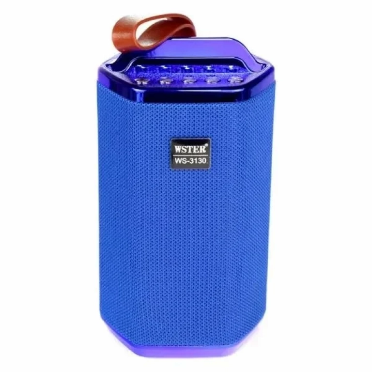 WSTER WS-3130 Ηχείο Bluetooth 5W με Ραδιόφωνο και 4 ώρες Λειτουργίας Blue