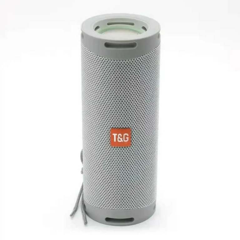 T&G TG-289 Ηχείο Bluetooth 5W με Ραδιόφωνο Silver