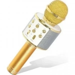 WSTER WS-858L Gold