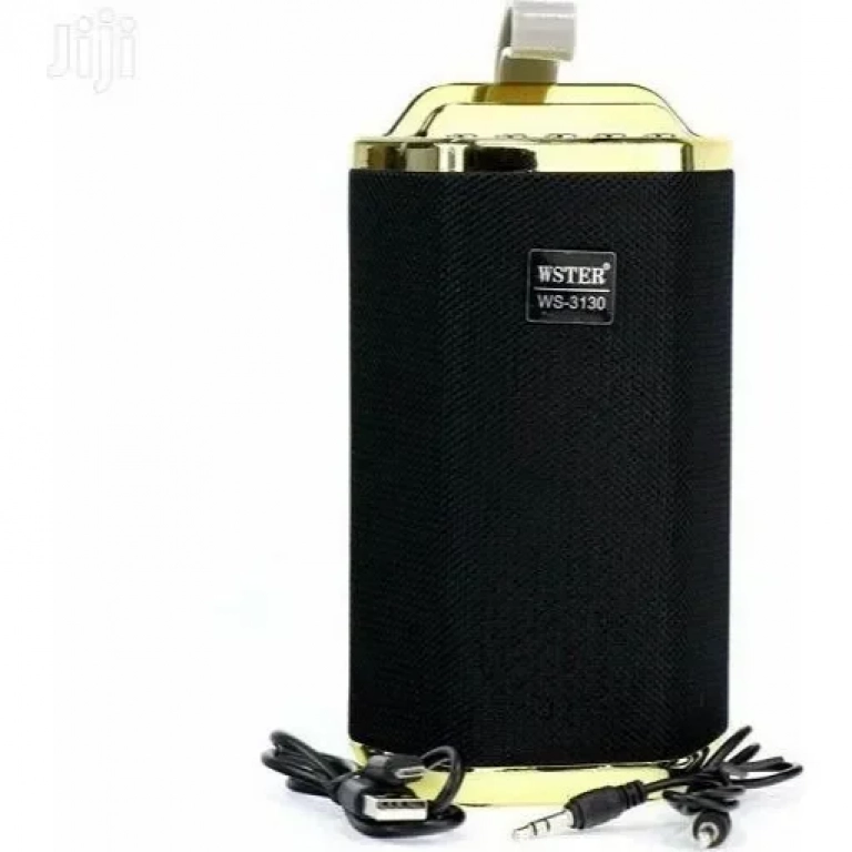 WSTER WS-3130 Ηχείο Bluetooth 5W με Ραδιόφωνο και 4 ώρες Λειτουργίας Black