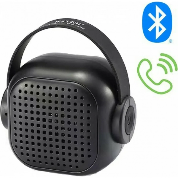 WSTER WS-302 Ηχείο Bluetooth 3W Μαύρο