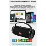 T&G TG-116C Ηχείο Bluetooth 5W με Ραδιόφωνο Black