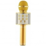 WSTER WS-858L Gold