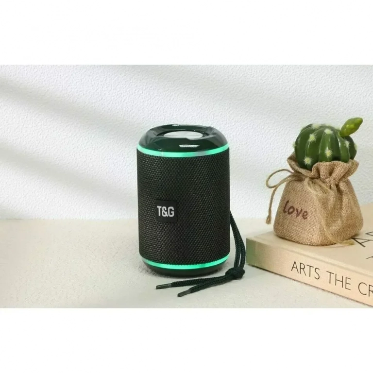 T&G TG-291 Ηχείο Bluetooth 5W με Ραδιόφωνο και 4 ώρες Λειτουργίας Light Green
