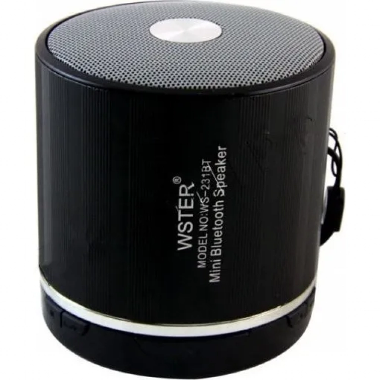 WSTER WS-231 Ηχείο Bluetooth 5W με Ραδιόφωνο και 5 ώρες Λειτουργίας Black