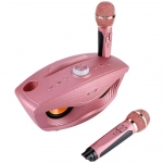 Σύστημα Karaoke με Ασύρματα Μικρόφωνα SD-306 σε Ροζ Χρώμα
