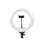 Ring Light YQ-320A 30cm 3200-5600K με Τρίποδο Δαπέδου και Βάση για Κινητό - Image 3