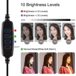 Puluz Ring Light με Τρίποδο 140cm και Βάση Dual Phone Bracket 26cm LED - PKT3040