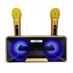 Σύστημα Karaoke με Ασύρματα Μικρόφωνα SD-301 σε Χρυσό Χρώμα
