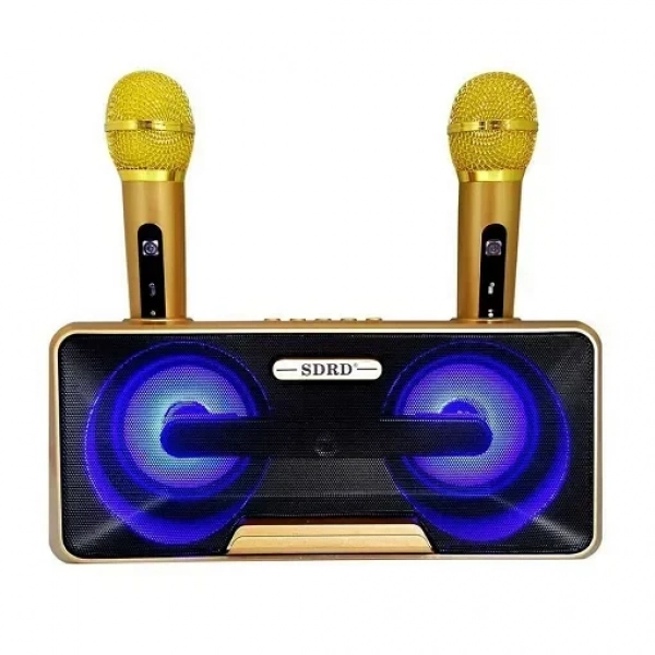Σύστημα Karaoke με Ασύρματα Μικρόφωνα SD-301 σε Χρυσό Χρώμα