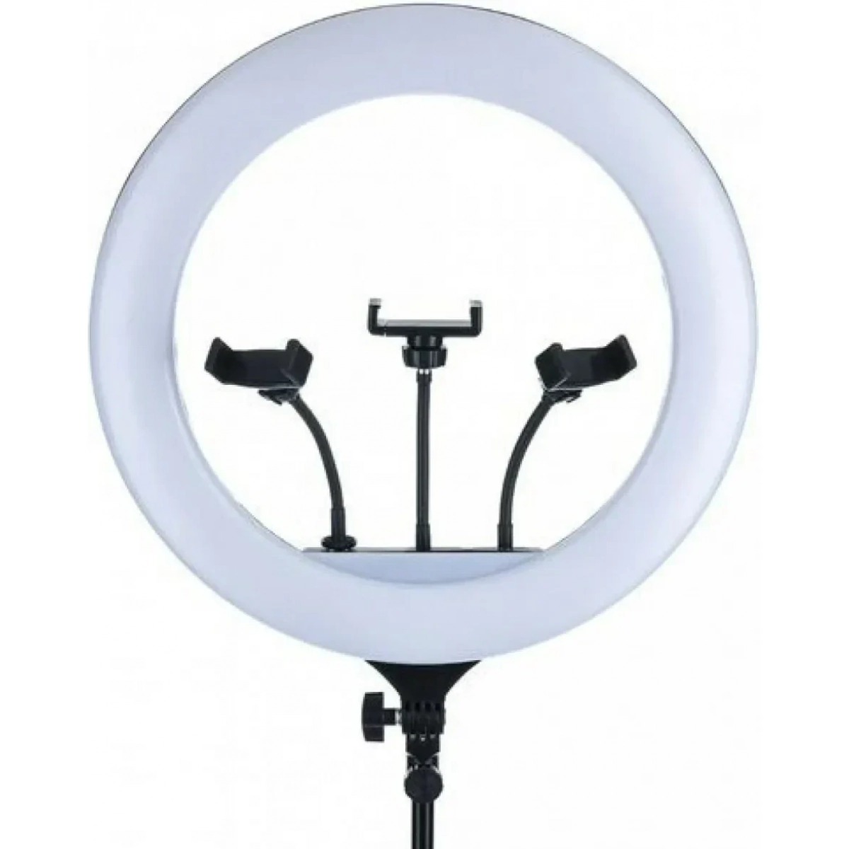 Φωτιστικό Ring Light YQ-580 58cm με Τρίποδο Δαπέδου και Βάση Κινητού - Image 2