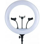 Φωτιστικό Ring Light YQ-580 58cm με Τρίποδο Δαπέδου και Βάση Κινητού - Image 2
