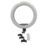 Rolinger Ring Light LJJ-45 RL-1006 45cm με Βάση για Κινητό