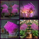 360º Φωτιστικό 80x LED Ανάπτυξης Φυτών Full Spectrum 4 x Λάμπα Θερμοκηπίου Εσωτερικού Χώρου – Plant Grow Panel Light E50-LEDGROW-36080