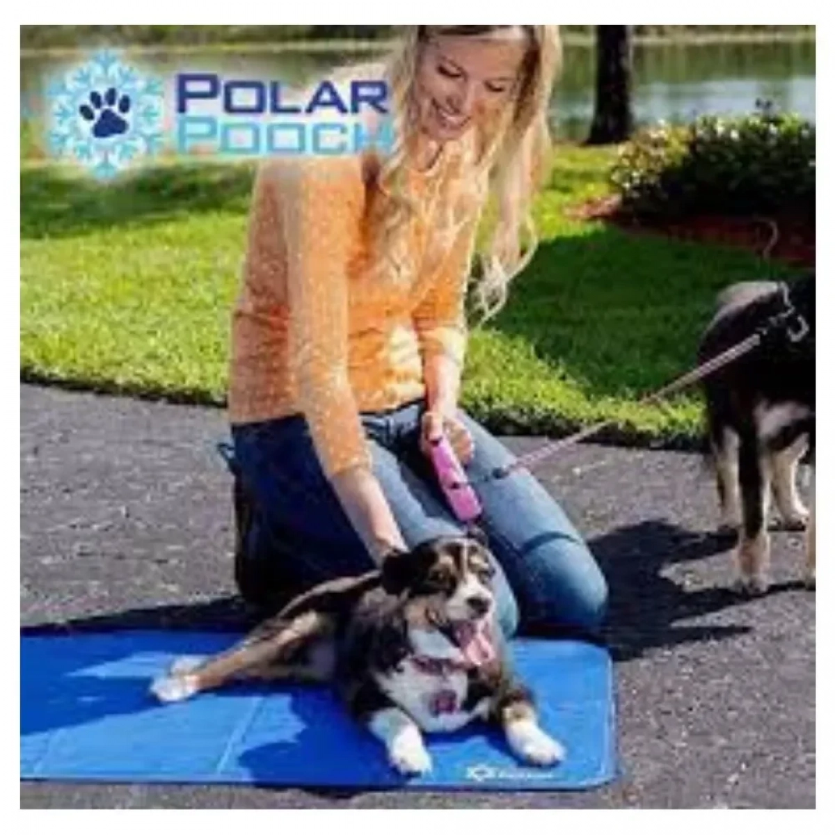 Στρώμα Δροσιάς για Κατοικίδια - Polar Pooch Self Cooling Mat 80x 50cm - Photo5